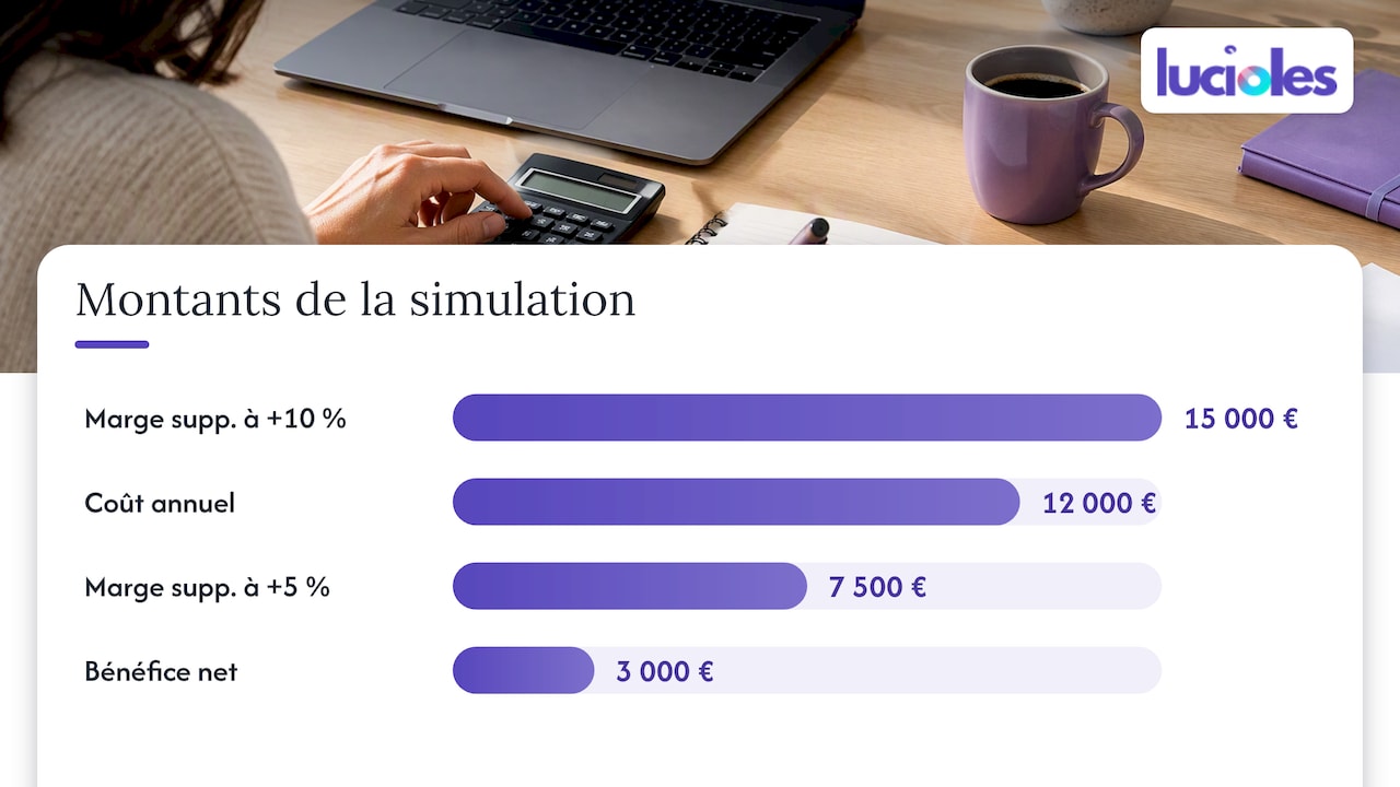 Exemple chiffré (simulation) — overview diagram